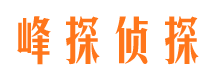 靖西市场调查